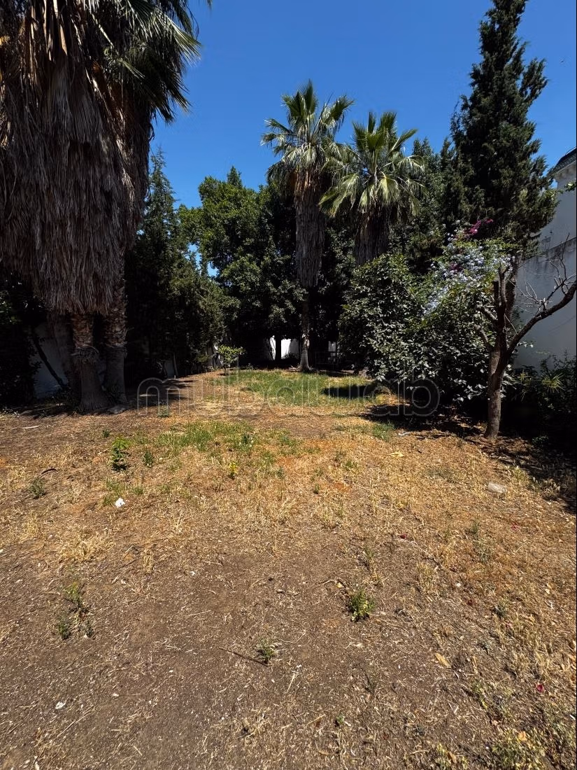 Vente d’une villa El Menzah1