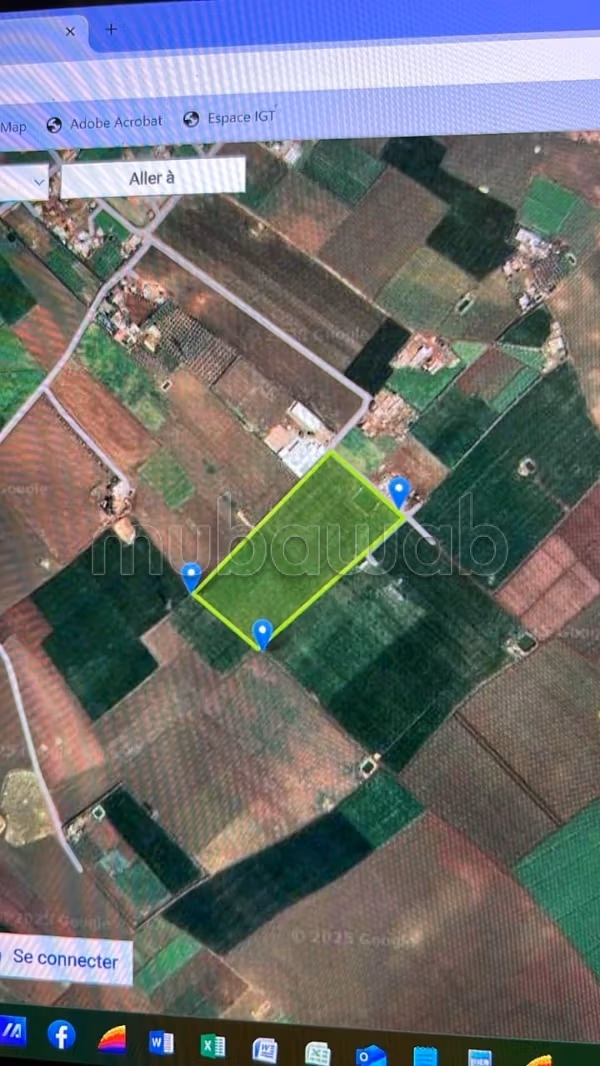 Terrain agricole titré 5 HA à vendre Berrechid