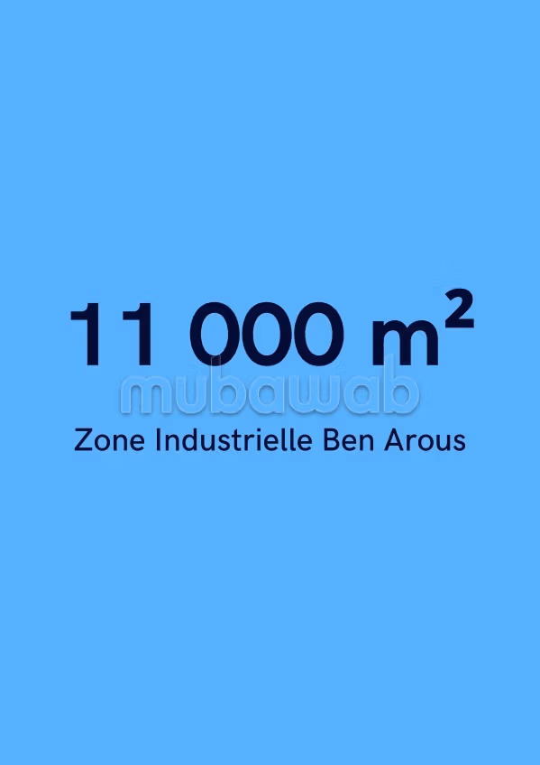 11 000 m² dans la zone Industrielle de Ben Arous