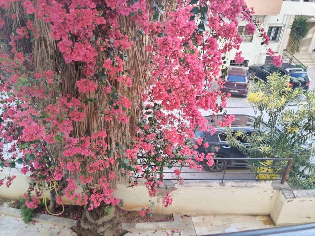 Appartamento stupendo in affitto a Al Aouina. 3 camere. Arredato