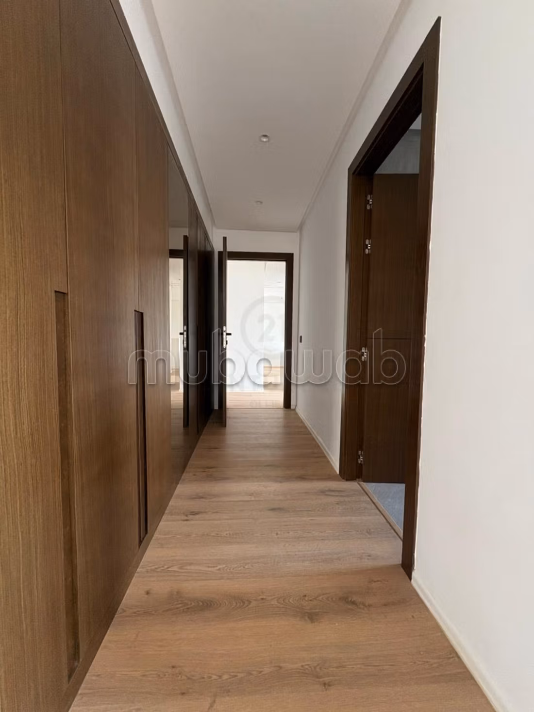 New villa with pool for rent in Hamilton project