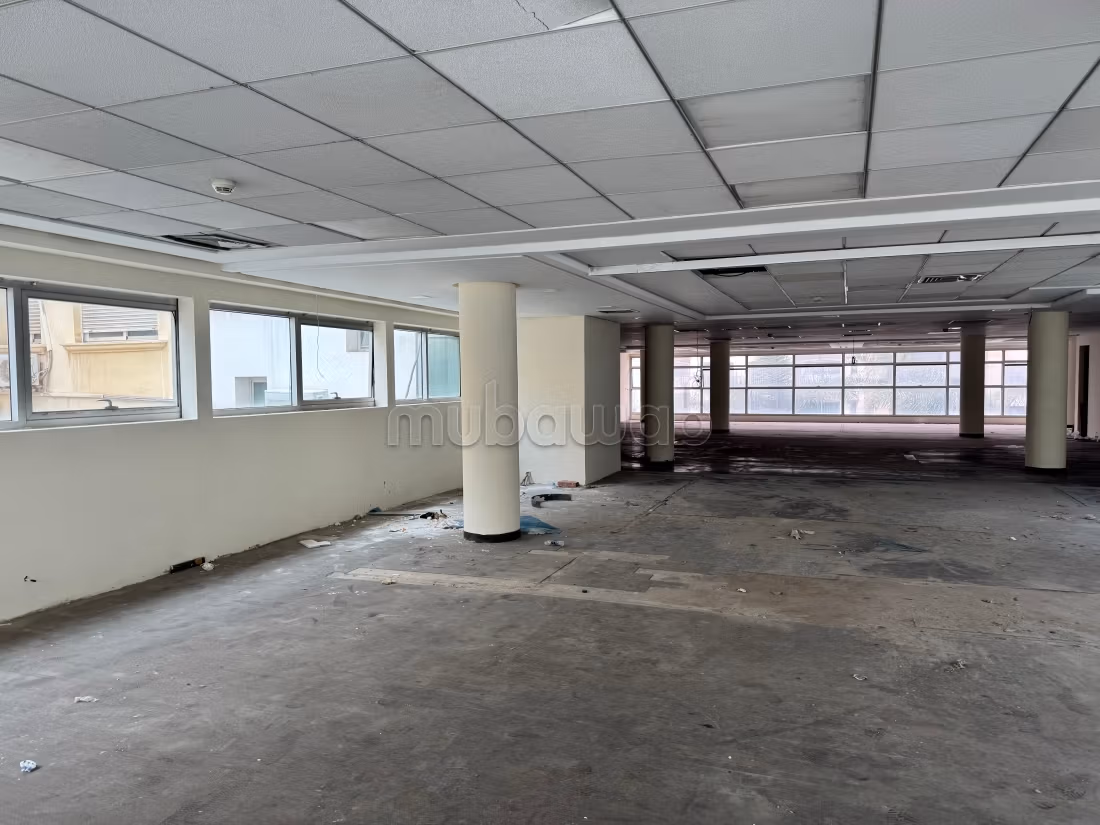 Beaux bureaux à louer à Racine. Surface totale 350 m²