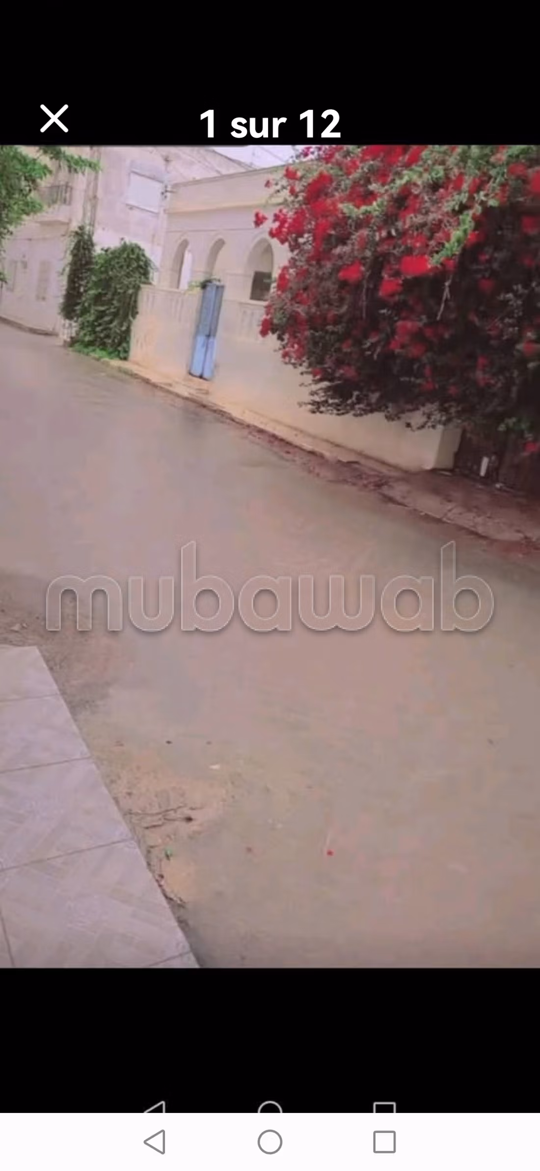 Villa style arabesque