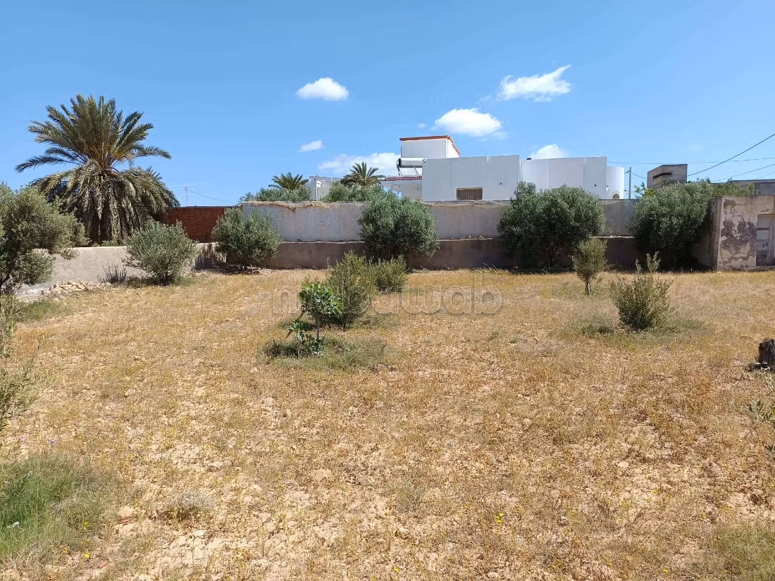 Vente villa à kerkenah