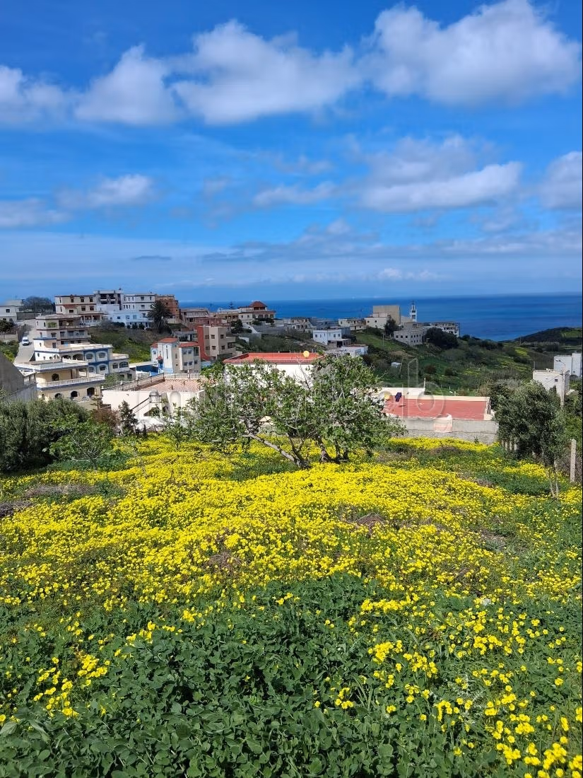 Terreno edificabile per 2 ville