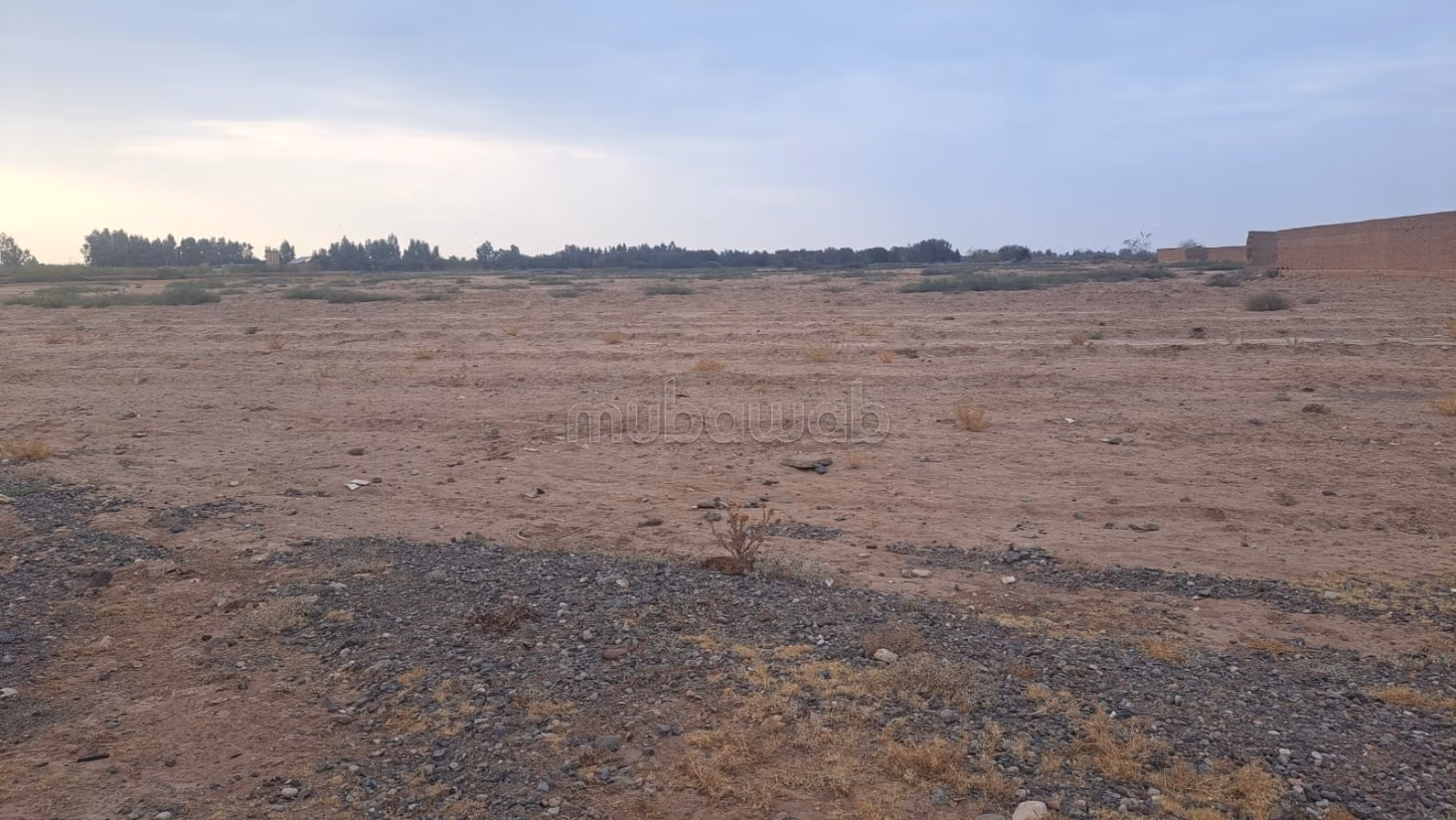 7 Hectare Titeld Grond Te Koop