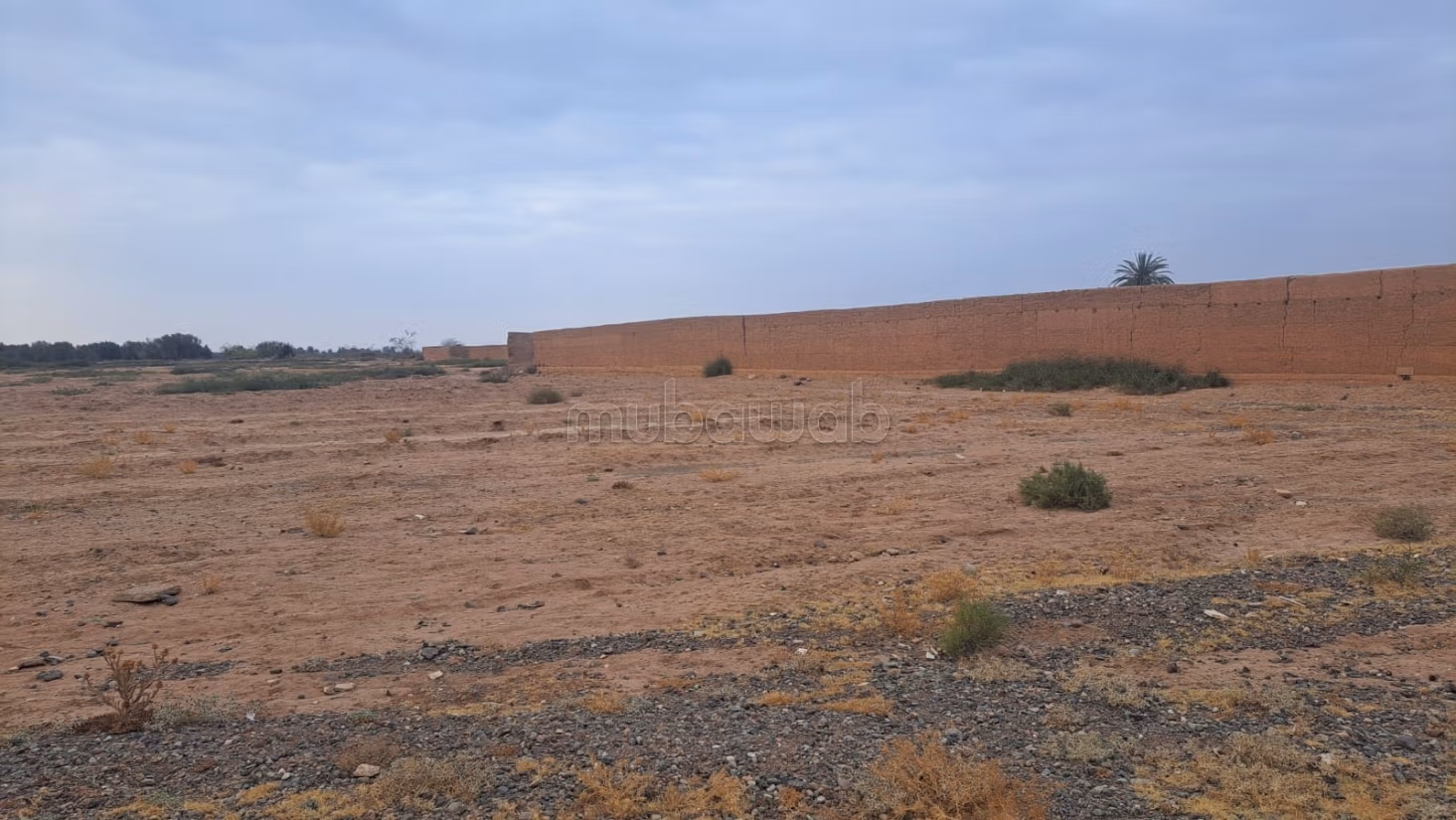 7 Hectare Titeld Grond Te Koop