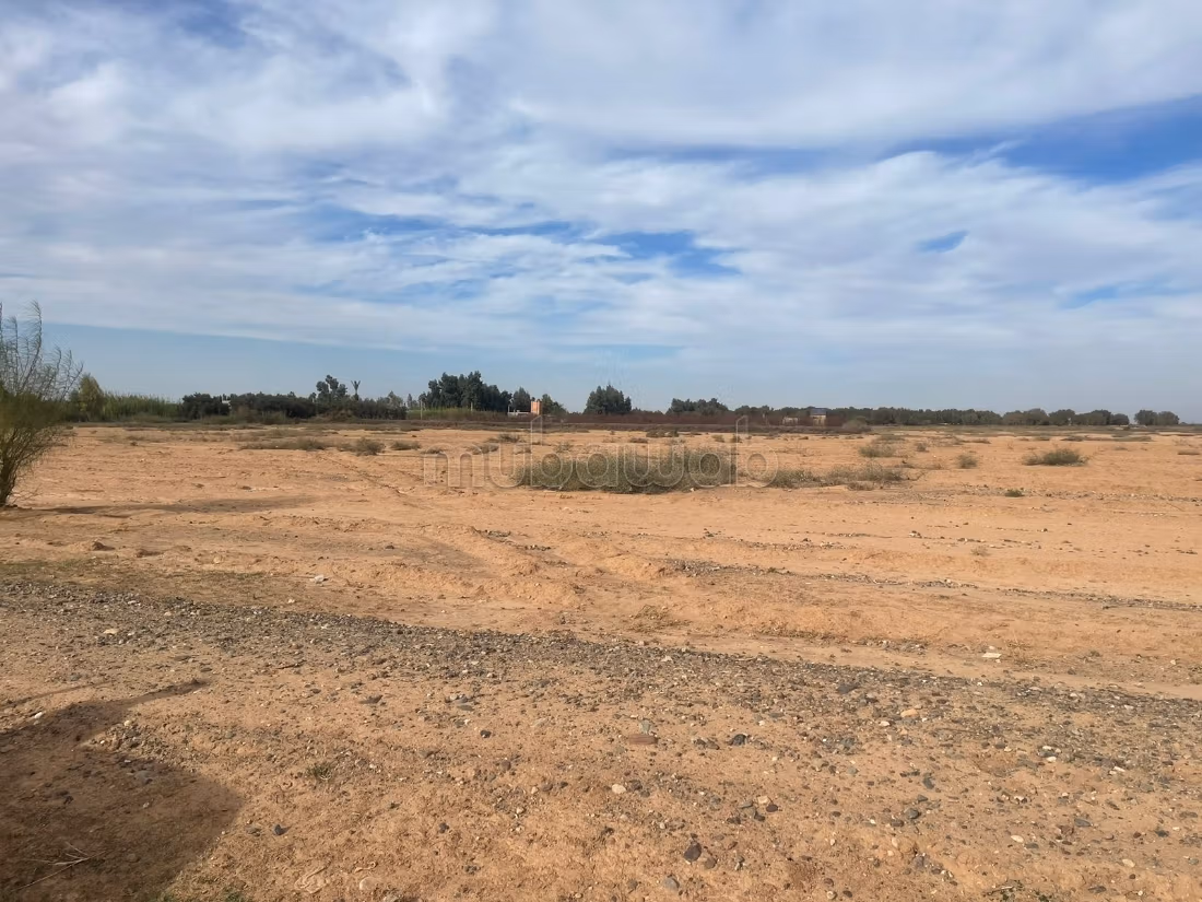 7 Hectare Titeld Grond Te Koop
