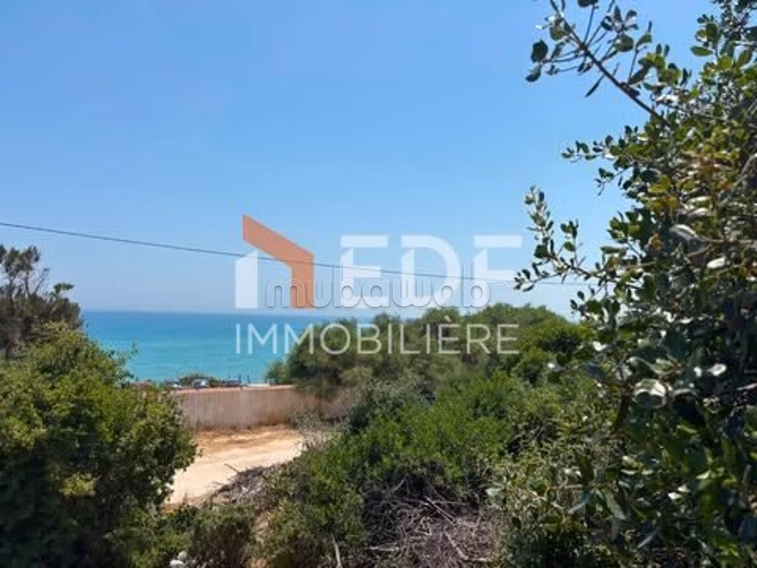 Terrain a Vendre a Ghar Meleh Sidi Ali maki