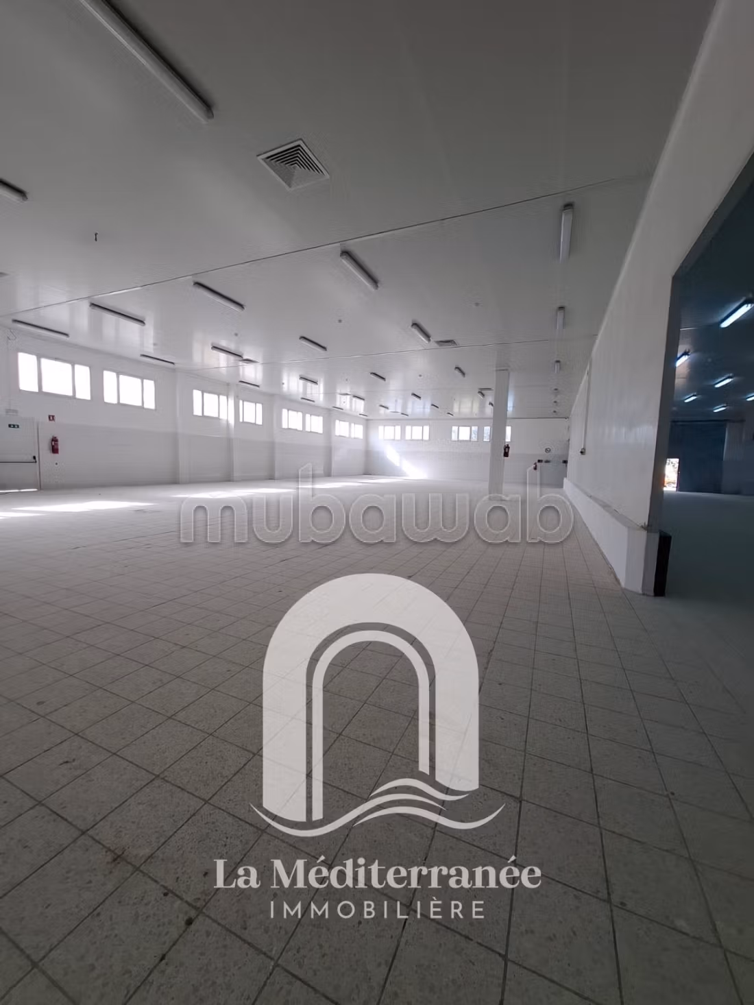 Industrial warehouse in Rades