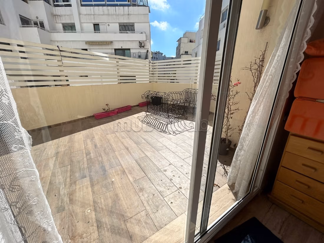 Location top appart meublé 3 ch terasse palmier — 5