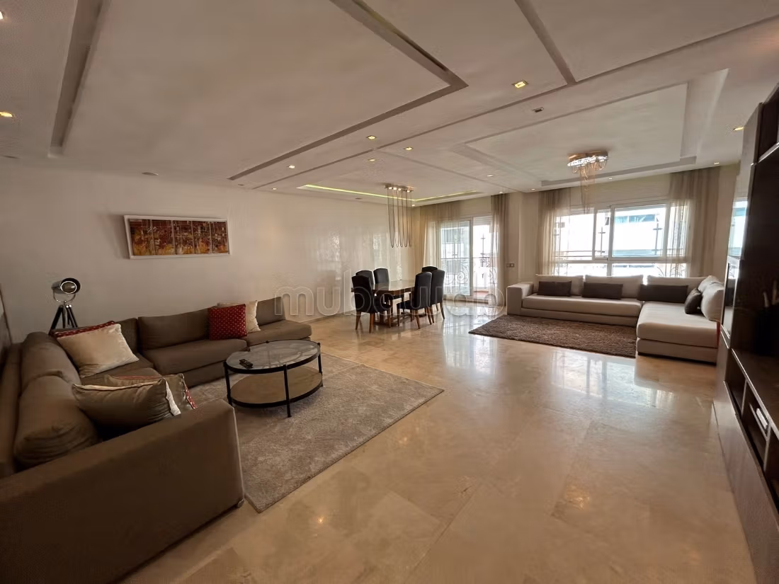 Location top appart meublé 3 ch terasse palmier — 4