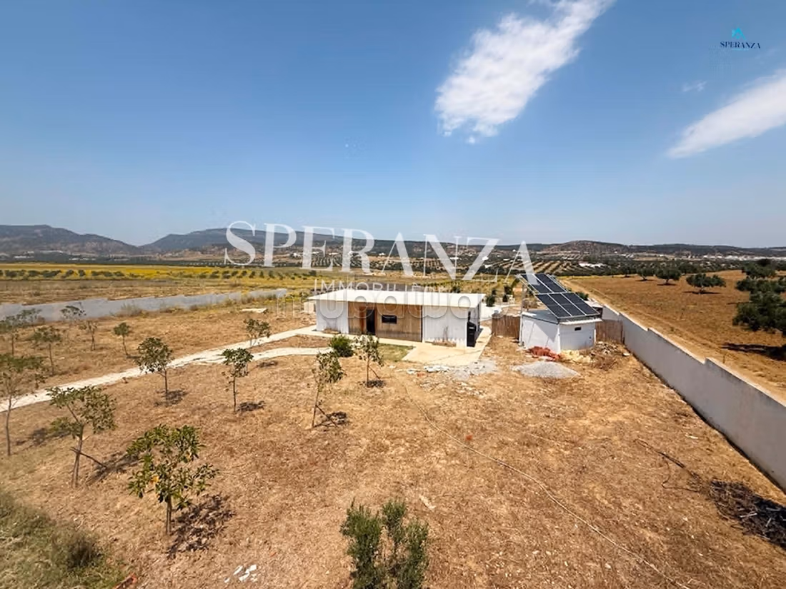 Vente Maison d'hôte Julius S2
