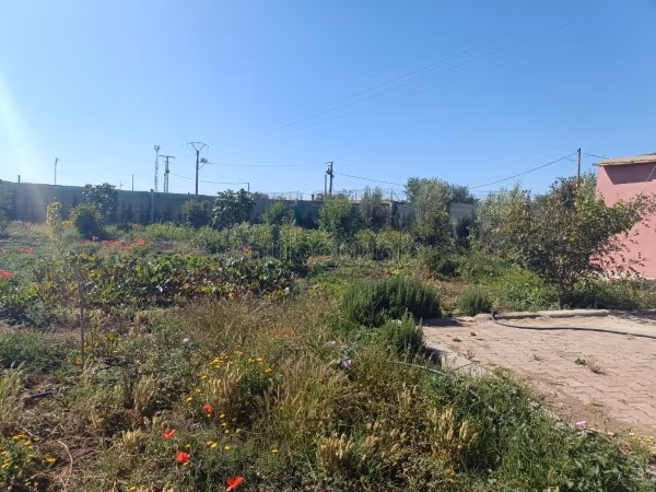 Terrain à vendre 6000 m a côté du berchid