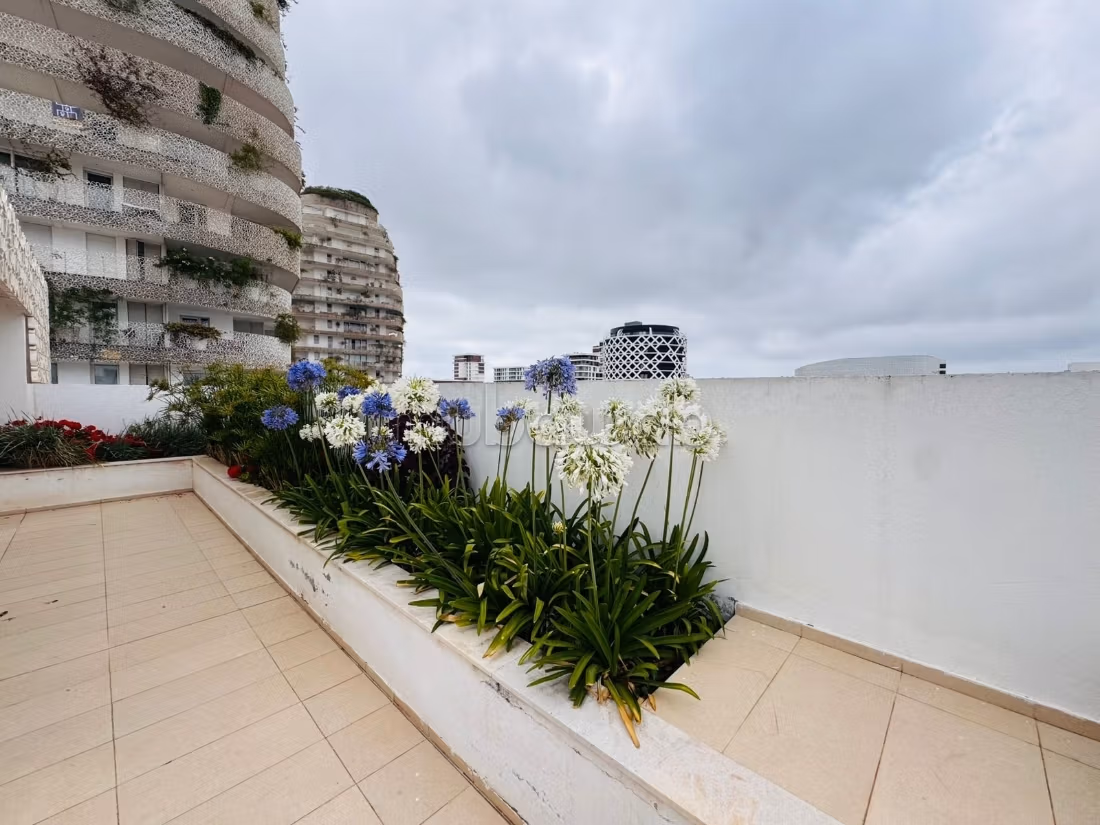 Grande terrazza…