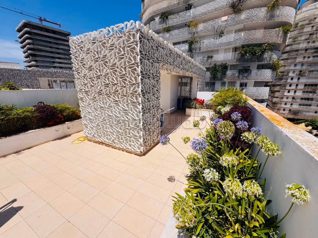 Big terrasse…