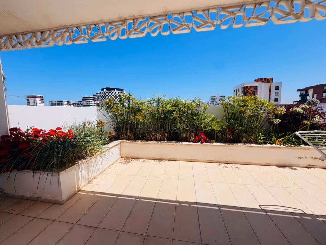 Big terrasse…
