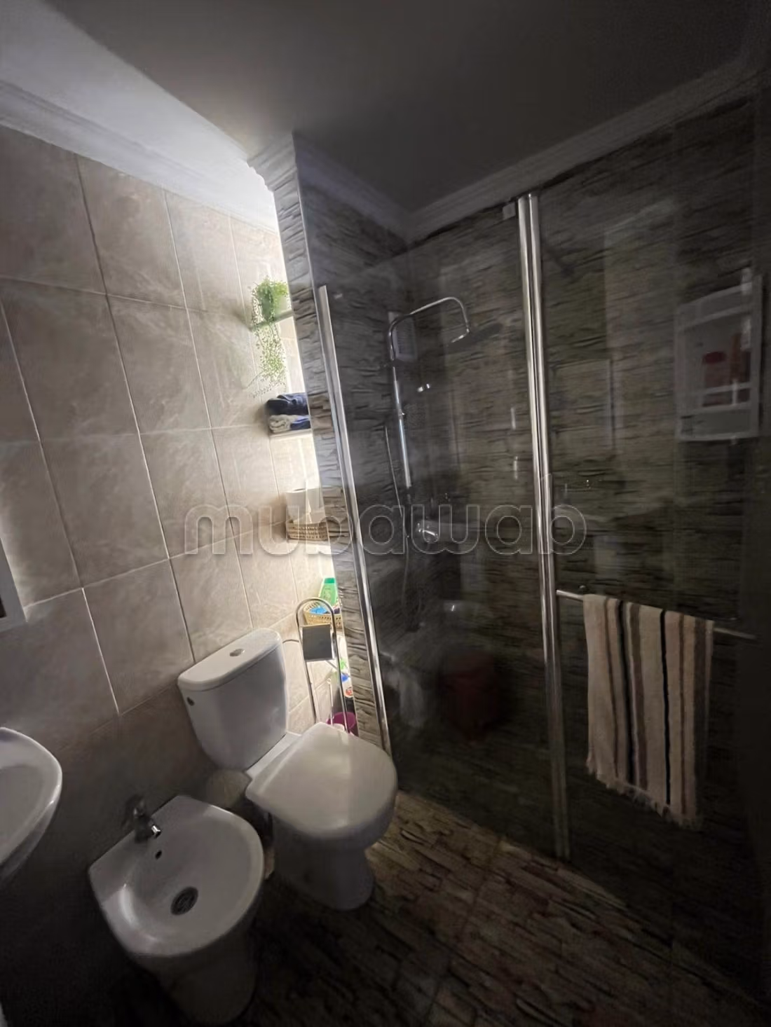 Well-equipped luxury apartment with summer pool