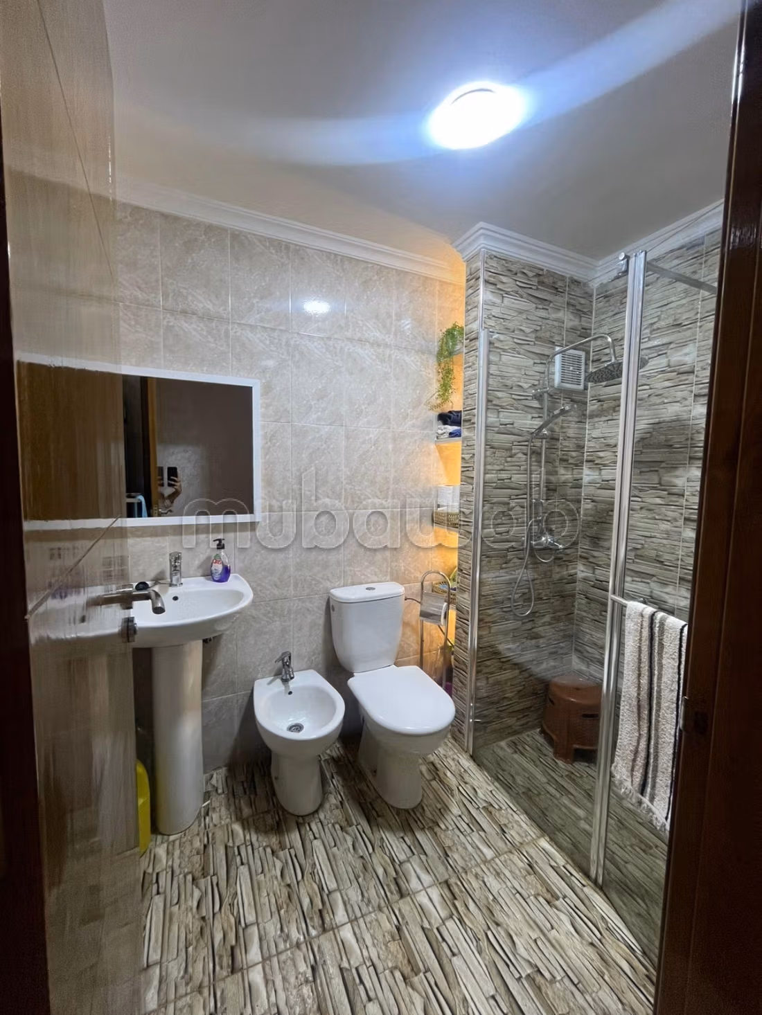 Well-equipped luxury apartment with summer pool