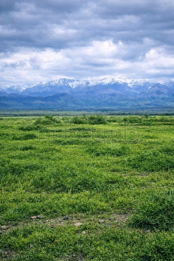 Vente terrain à Route Amizmiz. Surface totale 1300 m²
