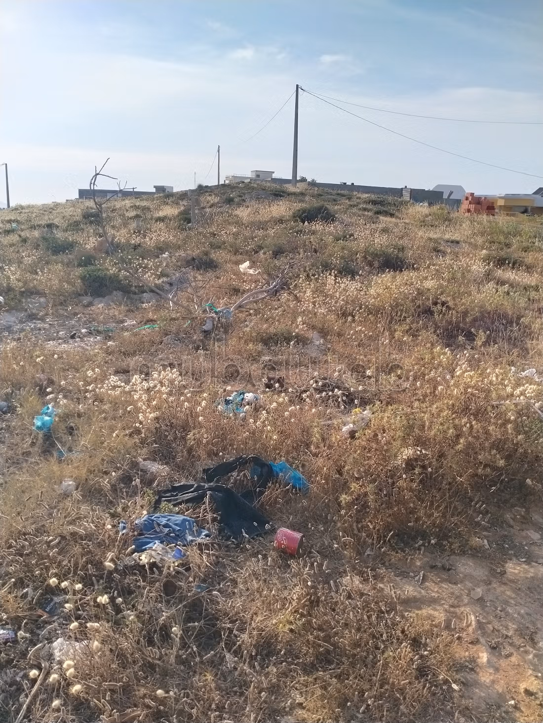 500 m2 a el Haouaria su 3 facciate