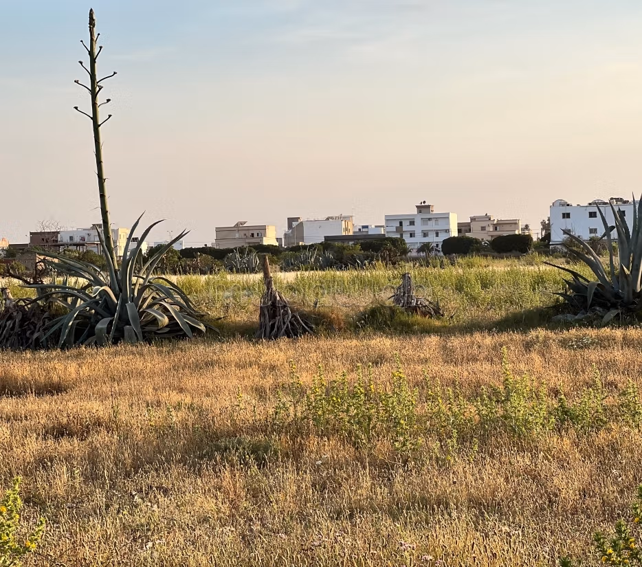 Terrain a vendre 1714 m² à Beni Khiar