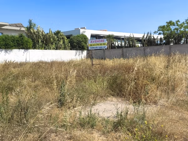 Land 1000 m for sale in green city