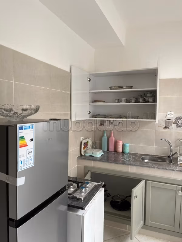 Rent this apartment in Du Golf. Total area 45 m². Furnished