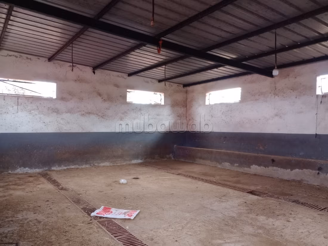 Fattoria di 9,5 ettari intitolata a Ouled Said