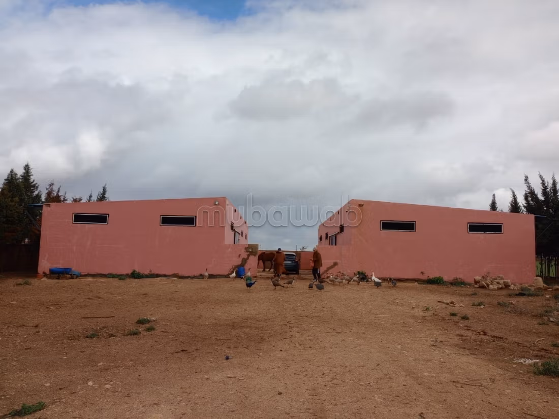 Fattoria di 9,5 ettari intitolata a Ouled Said