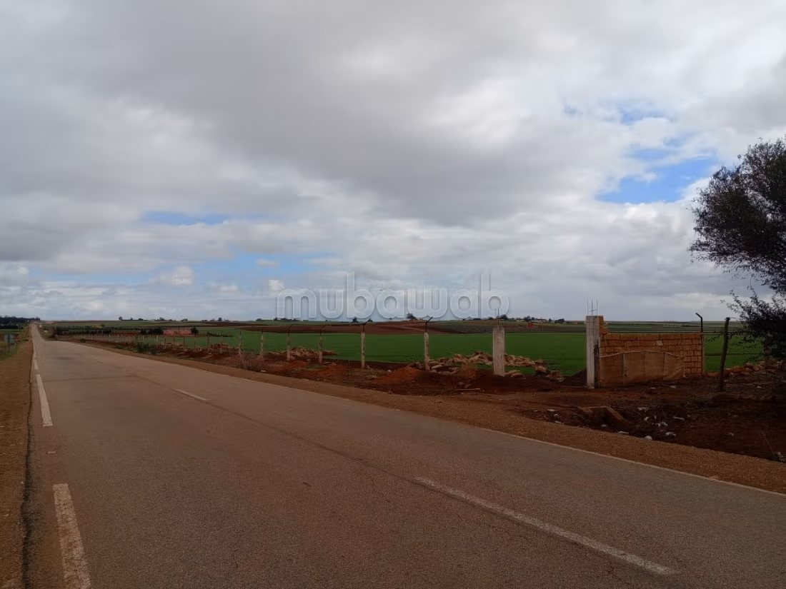Fattoria di 9,5 ettari intitolata a Ouled Said