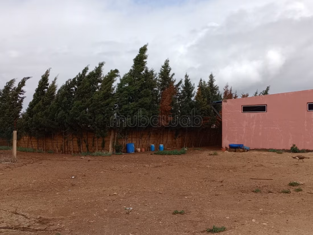 Fattoria di 9,5 ettari intitolata a Ouled Said