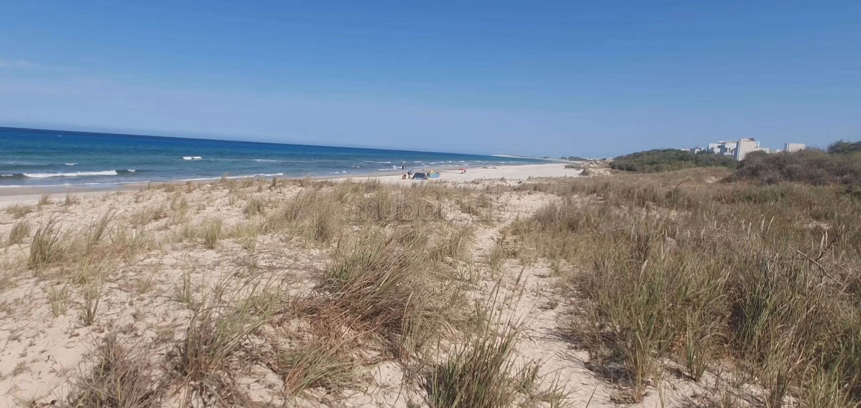 Land in 2nd position on the beach Ezzahra Kelibia