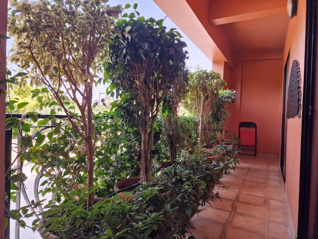 Opportunité Rare à Vendre – JARDIN Majorelle — 4