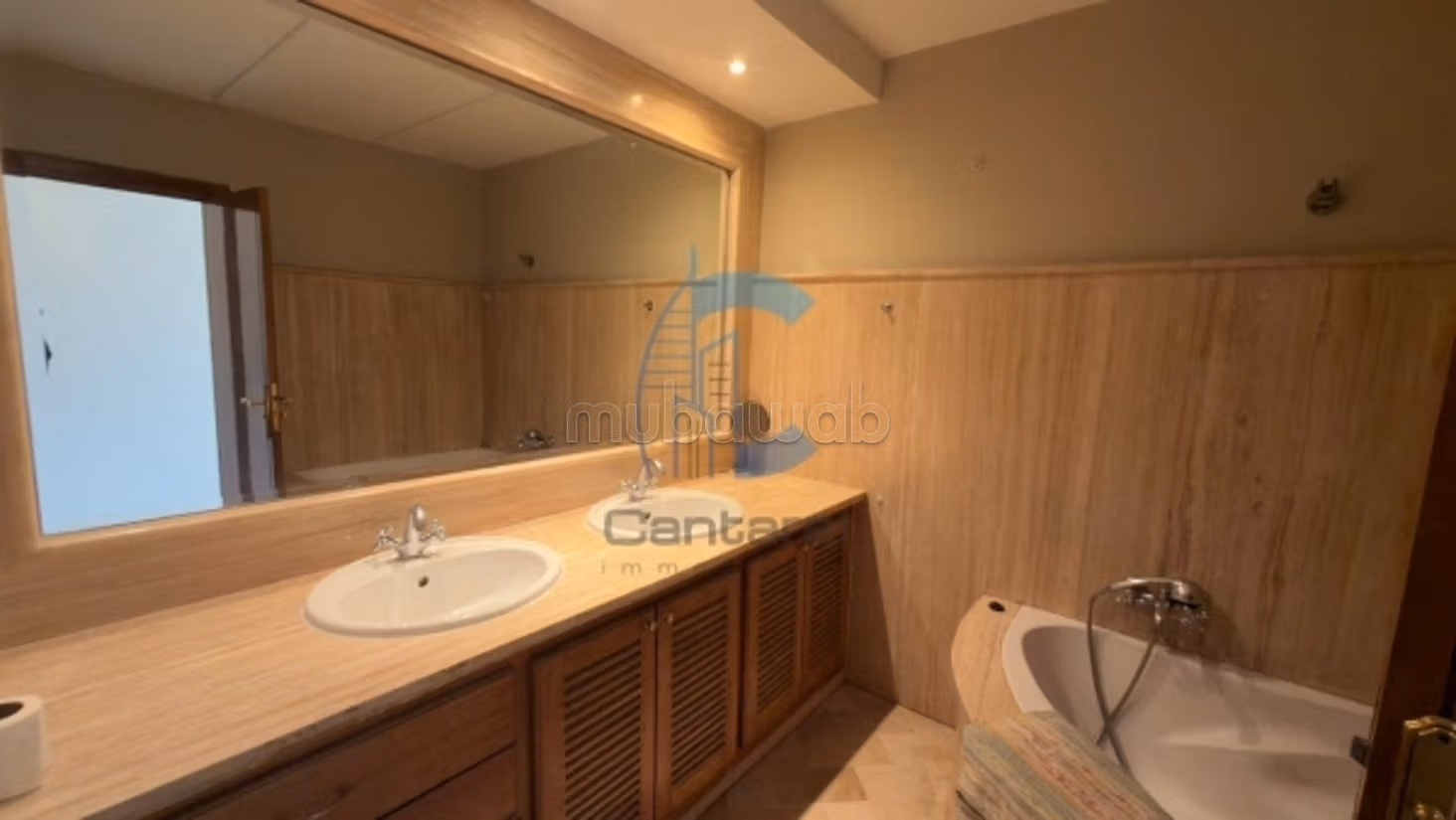 Location magnifique appartement palmier — 3