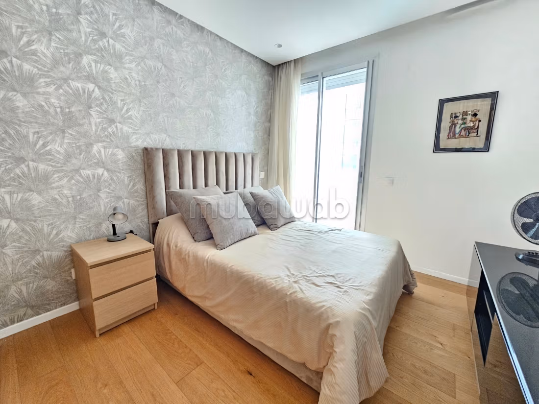Spacious studio with large terrace