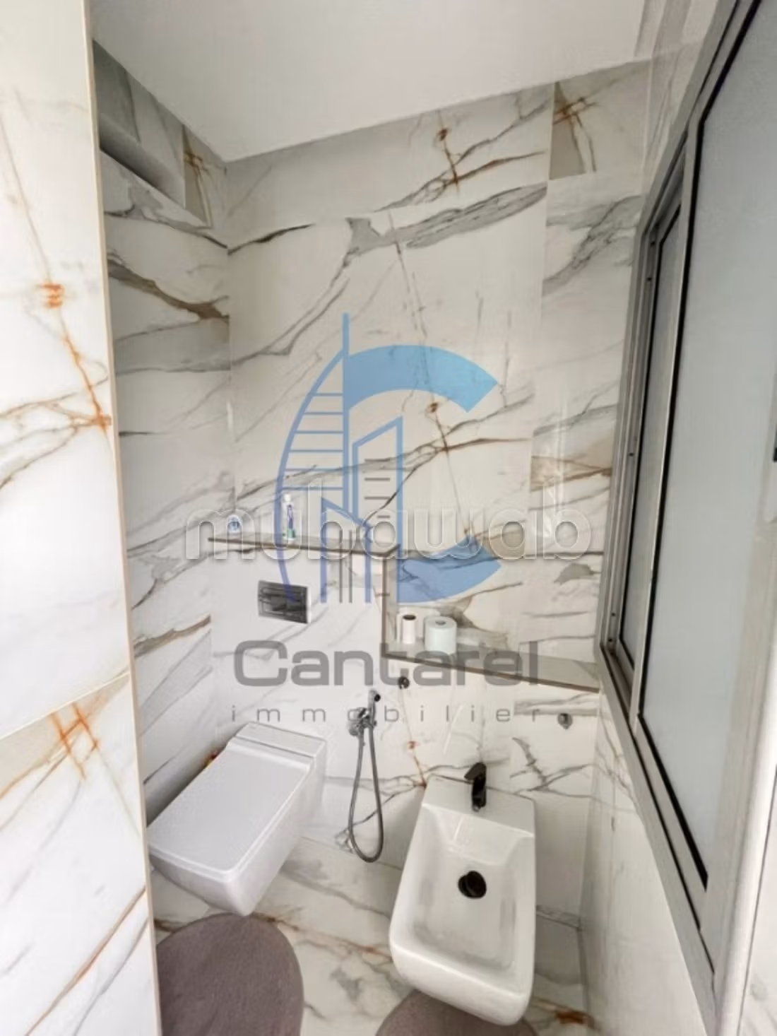 Vente harmonieux villa ain diab