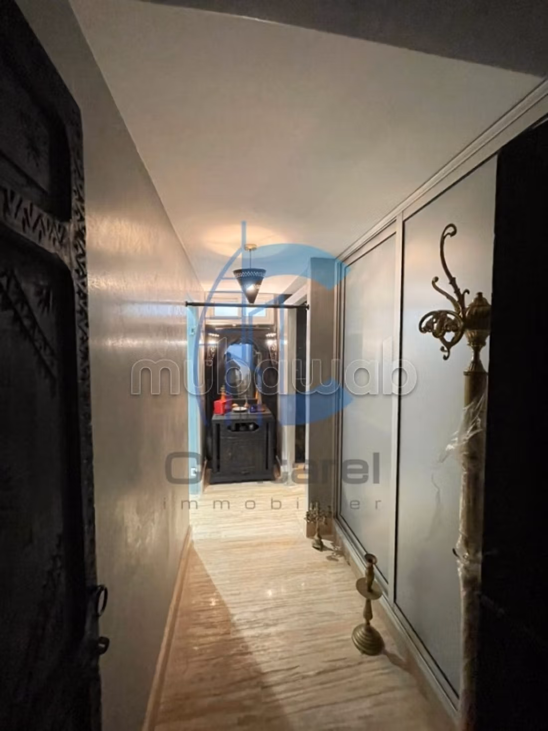Vente harmonieux villa ain diab