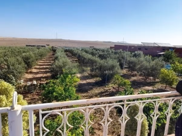 Ferme a vendre 30 km d'agadir
