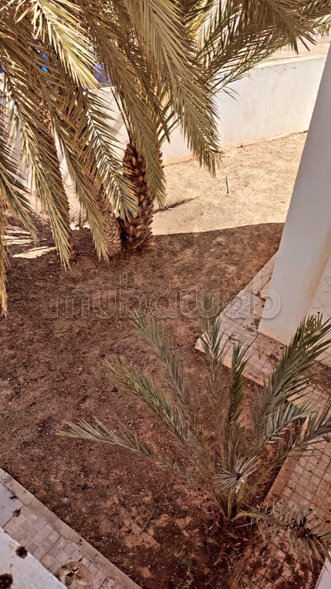 0% Commission/ A vendre des villas à DJERBA MIDOUN