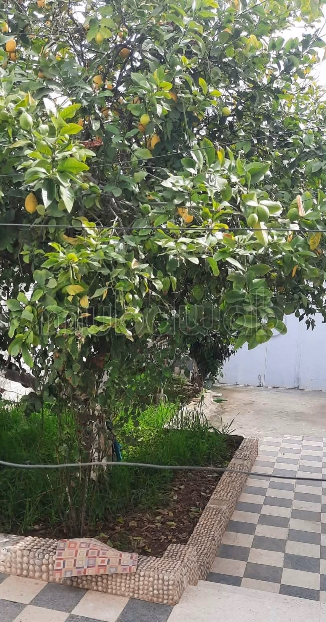 Villa a vendre 200m2 bien coté du transpo, ecoles
