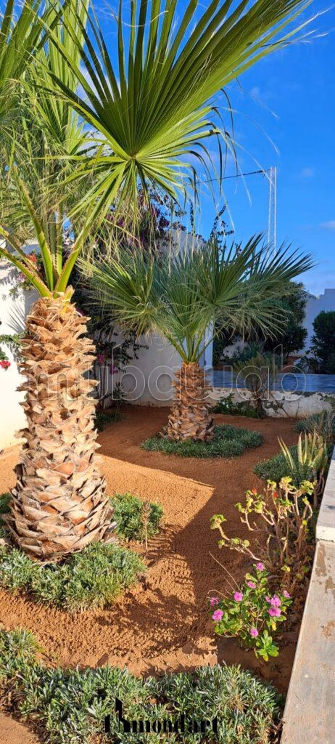 Villa Lagune Location Vacance Djerba