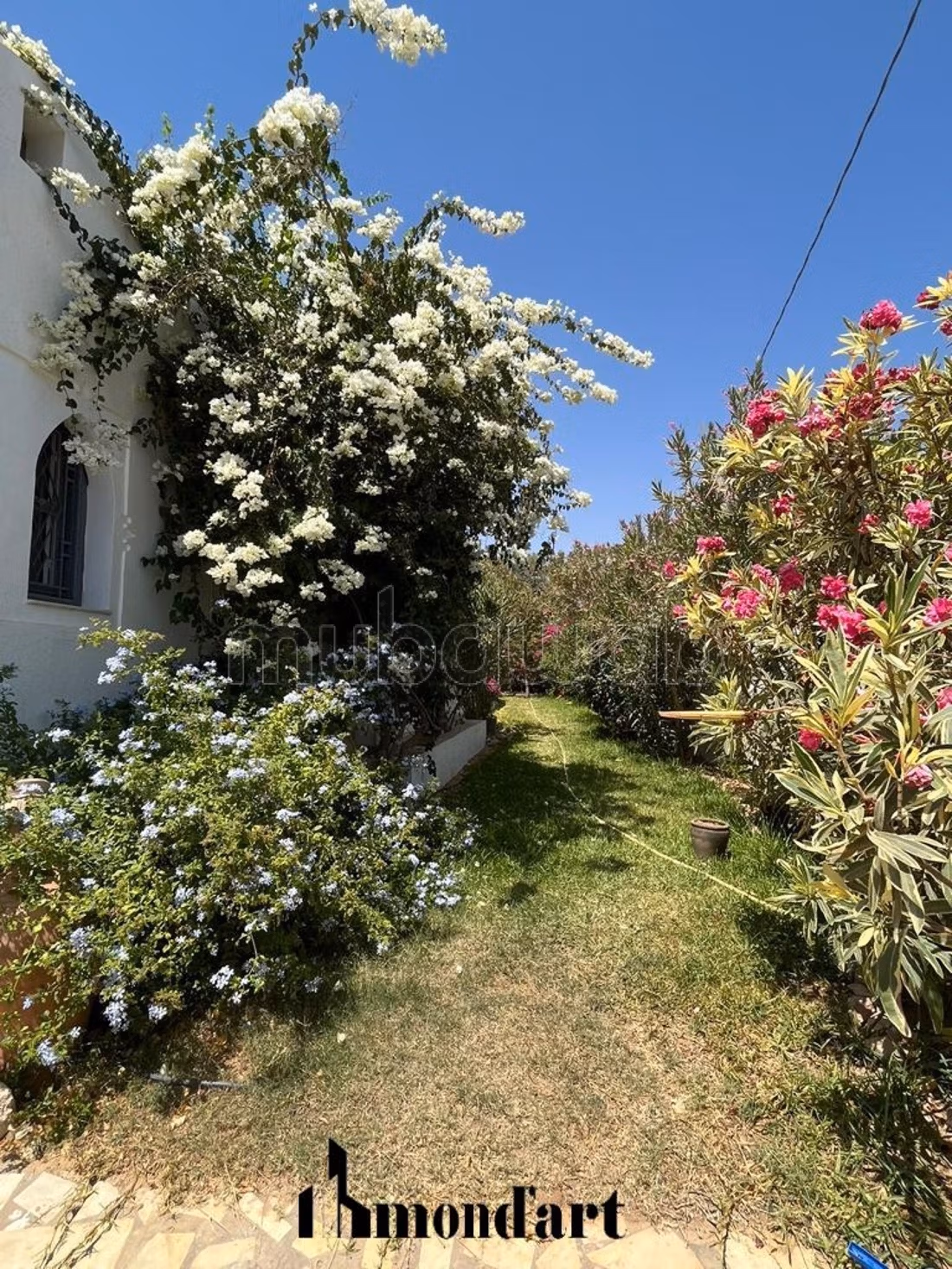 Villa Mykonos Location Vacance Djerba