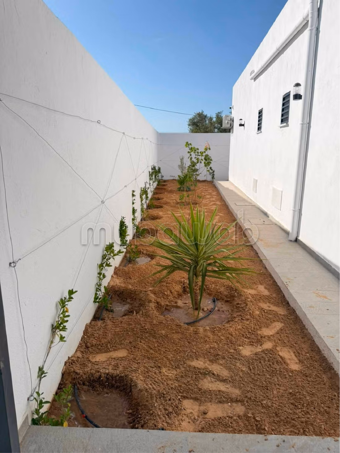 Villa Safir Location Annuelle Djerba