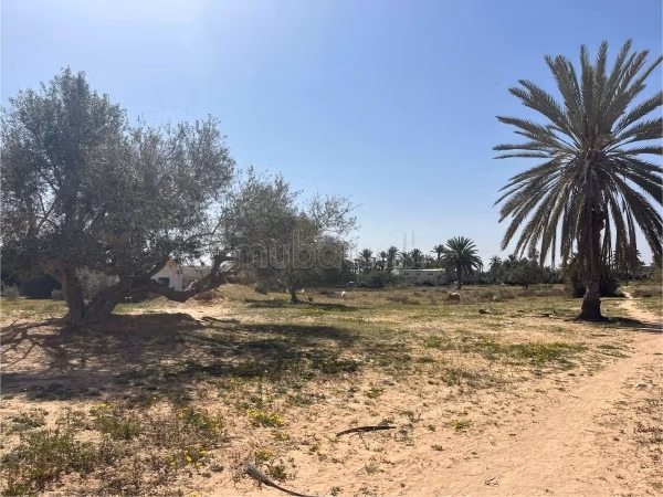 Terrain Azmouni A Vendre