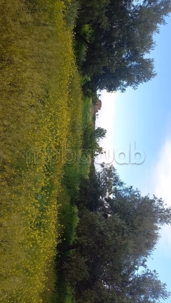Land for sale in Tameslohte. Total area 15000 m²