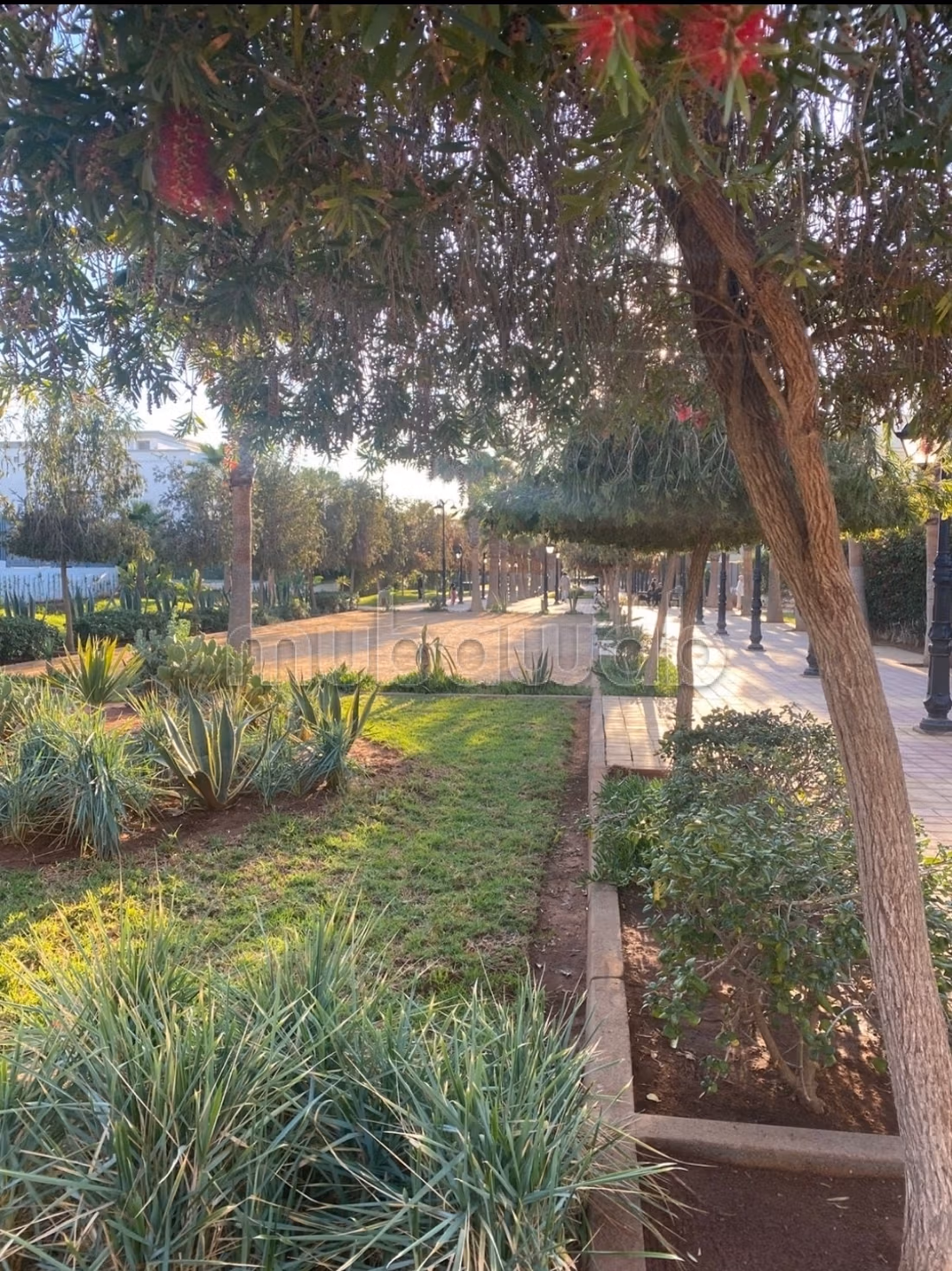 85m2 Apartment Dar Bouazza Gated Community