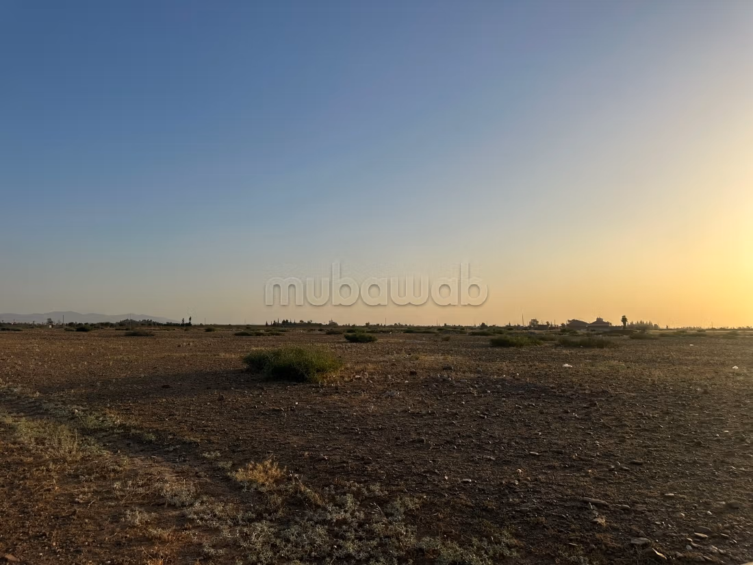 Vente de terrain à Ourika. Superficie 10000 m²