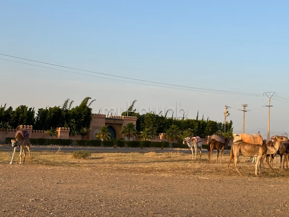 Vente de terrain à Ourika. Superficie 10000 m²