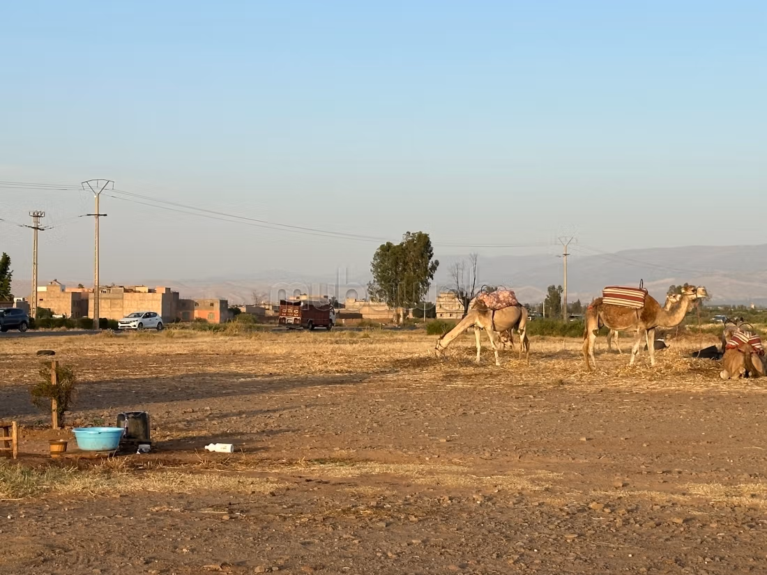 Vente de terrain à Ourika. Superficie 10000 m²